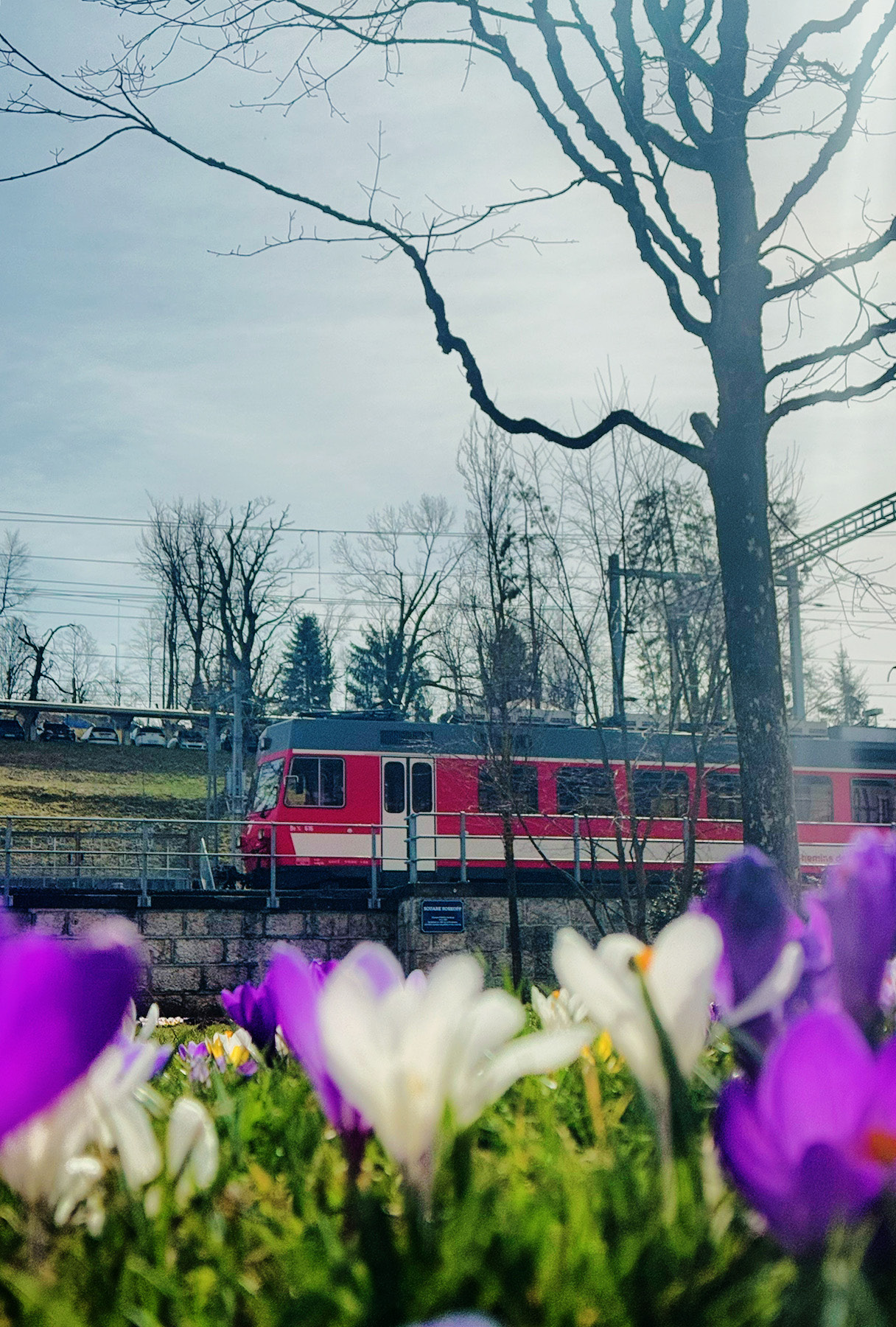 © Alain Tschanz - 2024