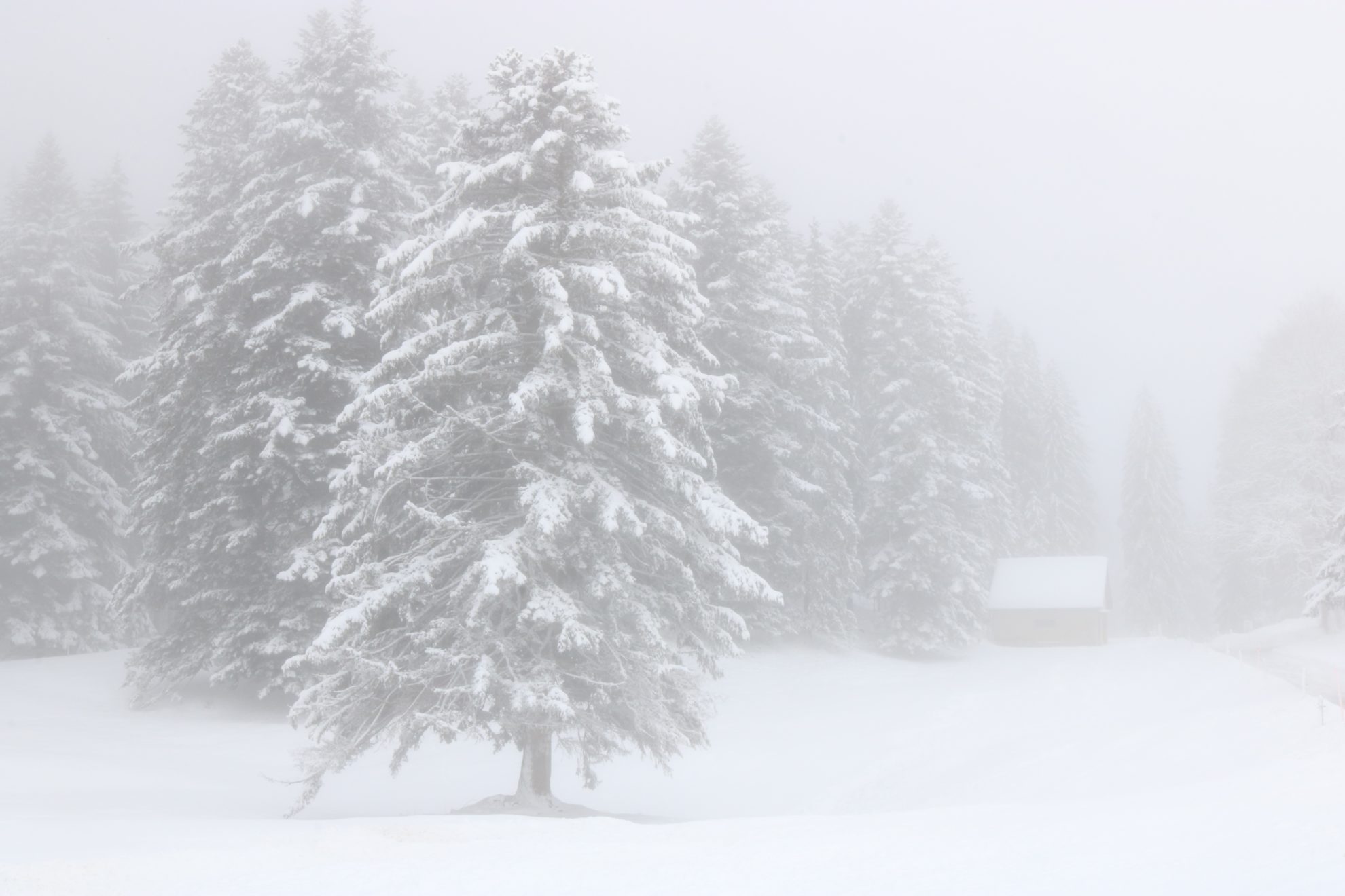 Grandmaison Bertrand