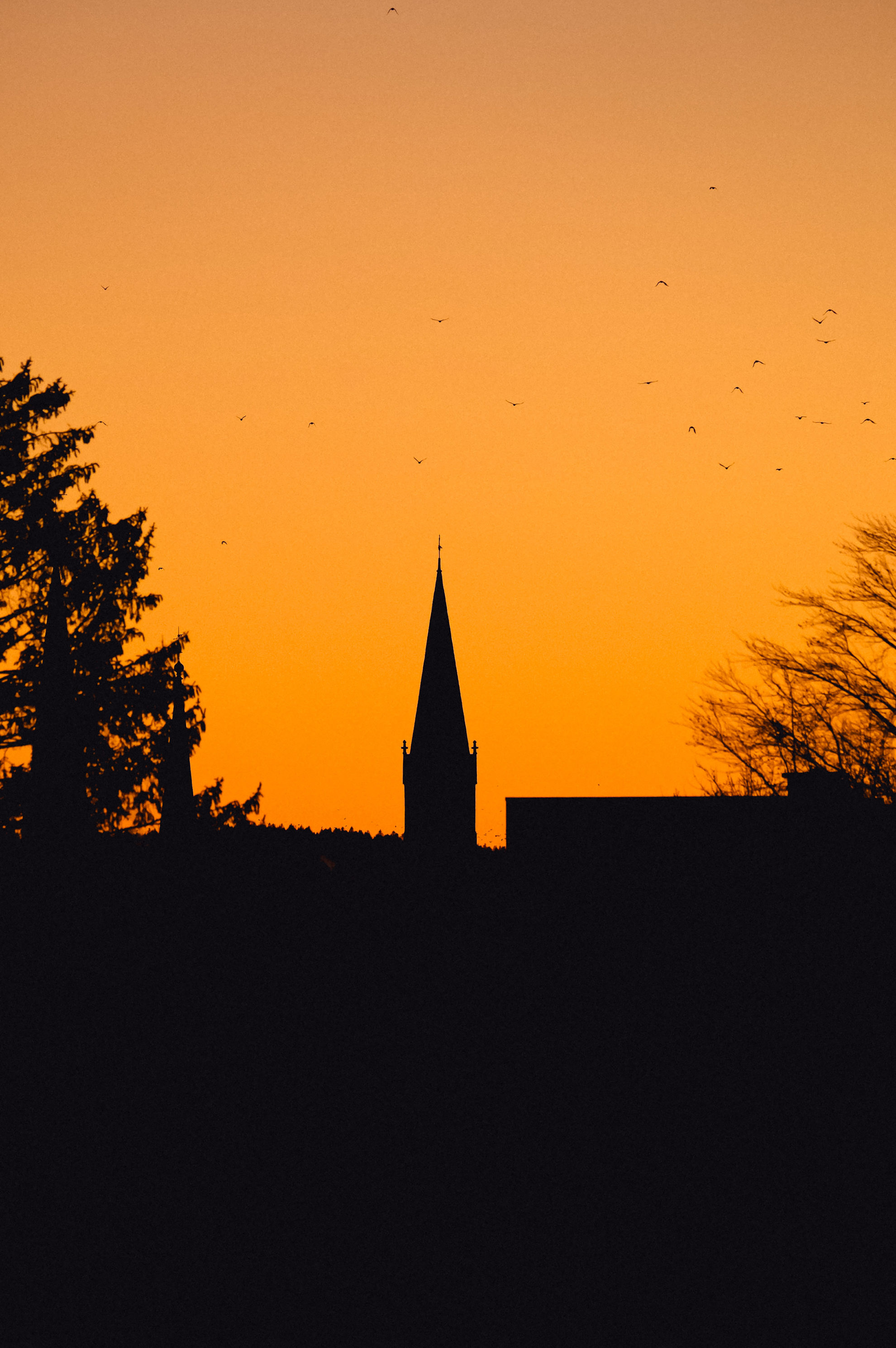 Le dernier souffle du jour